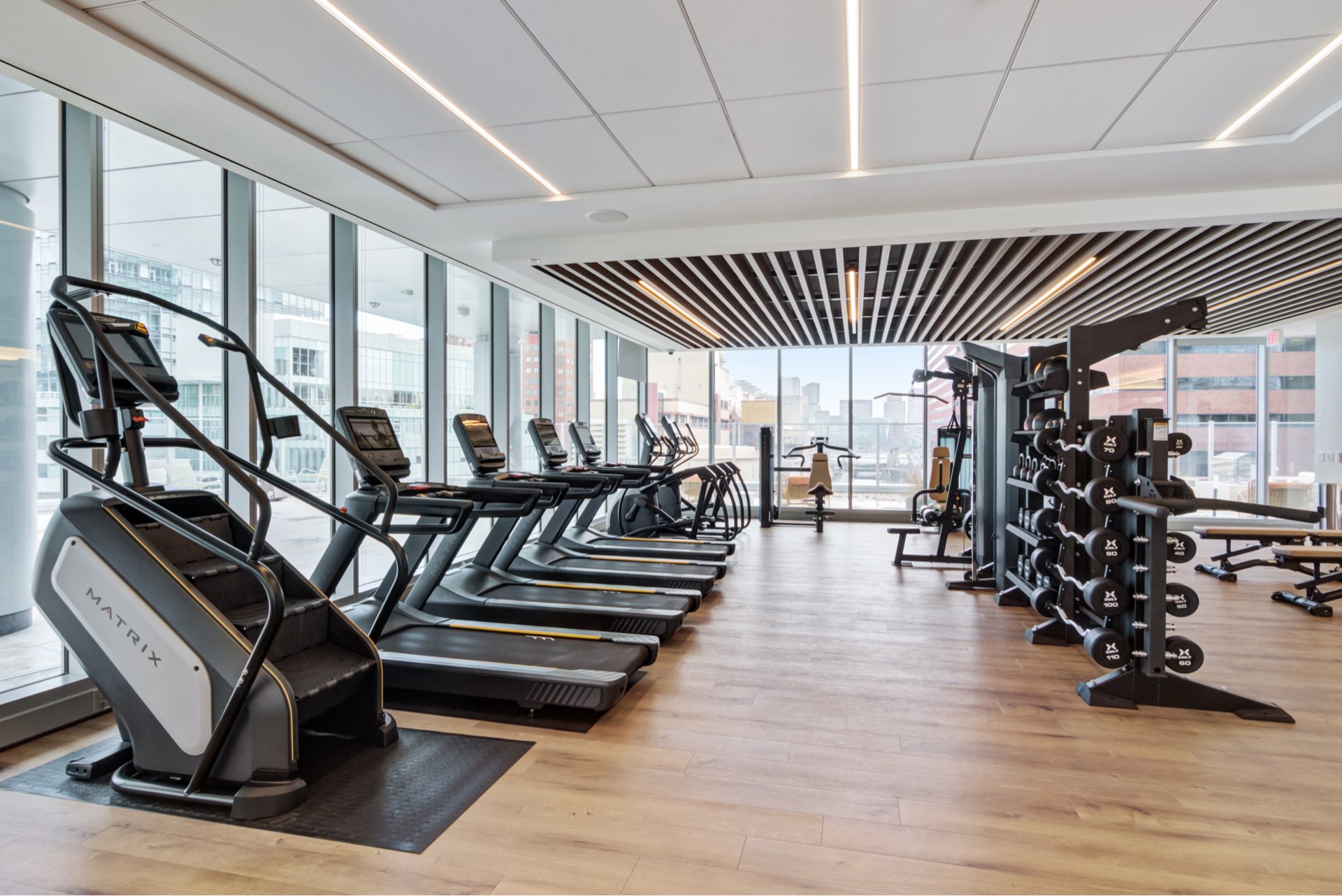 Spacious gym facility with a row of modern treadmills and a well-organized rack of dumbbells, set against a backdrop of warm brown wooden flooring